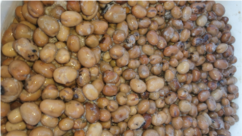 Peas Bucket image not loading