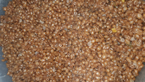 WheatBucket image not loading